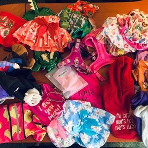 Dog Clothes and Harnesses for Small Female Dog